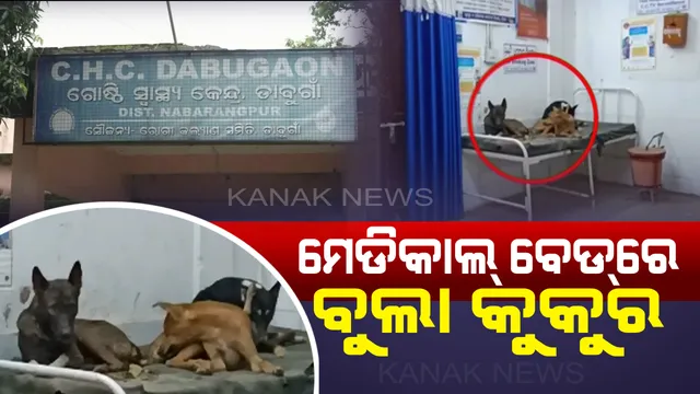 ଡାକ୍ତରଖାନା ବେଡ ଉପରେ କୁକୁର ! ବେଡ ଅଭାବରୁ ତଳେ ଶୋଇ ଚିକିତ୍ସିତ ହେଉଛନ୍ତି ରୋଗୀ