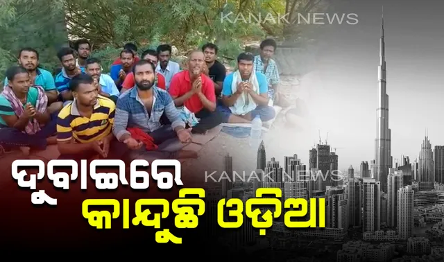 ଦୁବାଇ ଜଙ୍ଗଲ, ଦେଉଛି ଯନ୍ତ୍ରଣା: ୪ ଦିନ ହେବ ଭୋକ ଉପାସରେ ଫସିରହିଛନ୍ତି ୧୮ ଓଡ଼ିଆ ଶ୍ରମିକ, ଘରକୁ ଫେରିବା ପାଇଁ ଭିଡ଼ିଓ ଜରିଆରେ କଲେ ଗୁହାରି ।