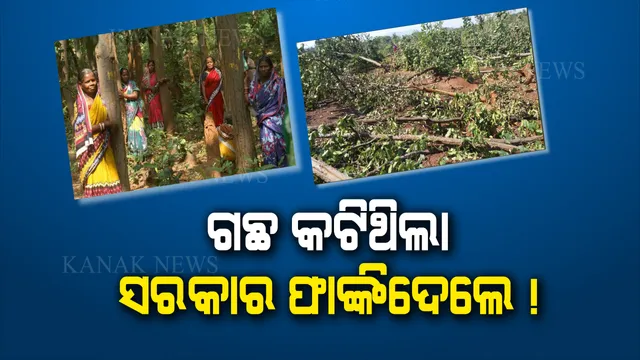 ବିଅର ଫ୍ୟାକ୍ଟ୍ରୀ ପାଇଁ ଗଛ କଟା ହୋଇଥିଲା, ମୁଖ୍ୟମନ୍ତ୍ରୀଙ୍କ ନିର୍ଦ୍ଦେଶ ପରେ ବନ୍ଦ ହୋଇଥିଲା । ହେଲେ ମନ୍ତ୍ରୀଙ୍କ ଉତ୍ତରରେ ନାହିଁ ଢେଙ୍କାନାଳରେ ଗଛ କଟା ନେଇ ତଥ୍ୟ ।