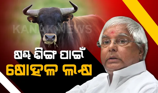 ବାଃ ସରକାର ହେବ ତ ଏମିତି ! କେଉଁଠି ଲୋକଙ୍କୁ ଖାଇବାକୁ ମିଳୁନଥିବା ବେଳେ ବିହାରରେ ଷଣ୍ଢ ଶିଙ୍ଗକୁ ମାଲିସ୍ କରିବା ପାଇଁ ଷୋହଳ ଲକ୍ଷ ଖର୍ଚ୍ଚ କରିଦେଲେ ସରକାର ।