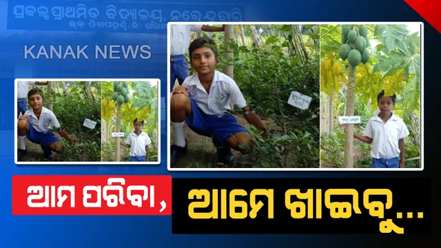 ଗଞ୍ଜାମ ନରେନ୍ଦ୍ରବାଲି ସ୍କୁଲର ସୁନ୍ଦର କାହାଣୀ: ପାଠପଢା ସାଙ୍ଗକୁ ପରିବା ଚାଷ କରୁଛନ୍ତି ଛାତ୍ରଛାତ୍ରୀ, ଗଛରେ ଲେଖାଯାଇଛି ଲଗାଇଥିବା ପିଲାର ନାଁ