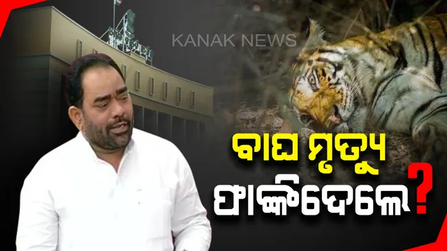 ବିଧାନସଭାରେ ବାଘ ମିଛ ! ୩ବର୍ଷରେ ଶିକାରୀଙ୍କ ହାତରେ ଯାଇନି ବାଘଙ୍କ ଜୀବନ, କେଉଁଠୁ ଆସିଲା ଚିତା ?