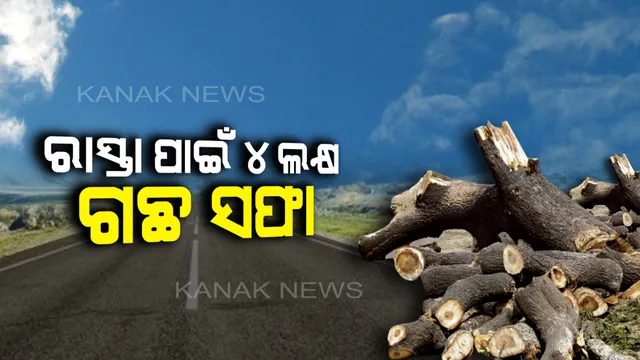 ରାସ୍ତା ବଢିଲା, ଗଛ ଗଡିଲା । ୩ ବର୍ଷରେ କଟିଗଲା ୪ ଲକ୍ଷରୁ ଅଧିକ ଗଛ ।