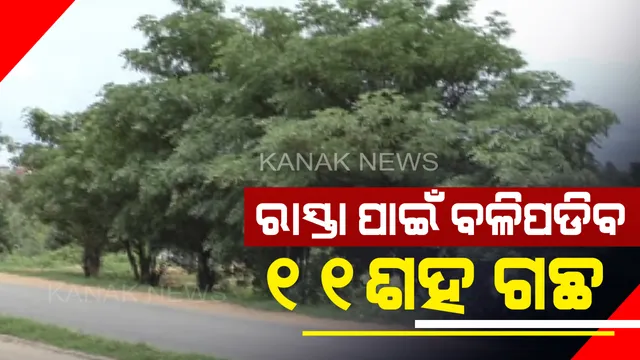ରାସ୍ତା ପାଇଁ ବଳିପଡ଼ିବ ୧୧ଶହ ଗଛ : ସୁବର୍ଣ୍ଣପୁରରେ ୩କିଲୋମିଟର ରାସ୍ତା ପ୍ରଶସ୍ତିକରଣ ପାଇଁ ଗଛ କାଟିବାକୁ ନିଷ୍ପତ୍ତି, ସ୍ଥାନୀୟ ଲୋକଙ୍କ ବିରୋଧ