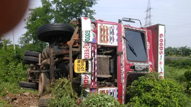 ଜଳେଶ୍ୱରରେ ଓଲଟିଲା ଗୋରୁଚାଲାଣ ଟ୍ରକ୍ । ଚାଲିଗଲା ୨୫ ଗାଈଙ୍କ ଜୀବନ । ଟ୍ରକ୍ ଜବତ, ଡ୍ରାଇଭର ଫେରାର ।