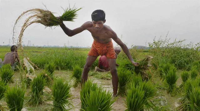 ମାନ୍ଦାବସ୍ଥାରୁ ବାଦ ବାଦପଡିବେନି ଚାଷୀ ! ବୋନସ୍‌ ବୃଦ୍ଧି ନ ହେଲେ ସଂକଟ ବଢିବ, ସେପଟେ ସାର ଓ ଔଷଧର କଳାବଜାର ଆଶଙ୍କା