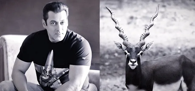 ସଲମାନଙ୍କୁ ଅଦାଲତରୁ ବଡ ଝଟକା ! କୃଷ୍ଣସାର ମୃଗ ଶିକାର ଘଟଣାରେ କୋର୍ଟରେ ହାଜିର ନହେଲେ ଜାମିନ୍ ହେବ ଖାରଜ