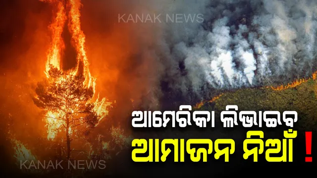 ଥମିବାର ନାଁ ଧରୁନି ଆମାଜନ ଜଙ୍ଗଲ ନିଆଁ : ଆୟତ କରିବାକୁ ସେନା ପଠାଇଲେ ବ୍ରାଜିଲ ରାଷ୍ଟ୍ରପତି, ସହାୟତାର ହାତ ବଢାଇଲା ଆମେରିକା