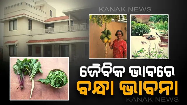 ଜୈବିକ ପଦ୍ଧତି ଆପଣାଇ ଘରେ ଉତ୍ପାଦନ କରନ୍ତି ପରିବା ଏବଂ ବ୍ୟବହାର କରନ୍ତି ବର୍ଷାଜଳ ! ଜାଣନ୍ତୁ ଜୈବିକ ଉତ୍ପାଦନ ଭାବରେ ବନ୍ଧା ଭାବନାଙ୍କ ଆଦର୍ଶ ଜୀବନଶୈଳୀର କାହାଣୀ ।