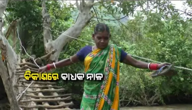 ନଦୀରେ ପାଣି ବଢିଲେ ବଢୁଛି ଭୟ । ବର୍ଷାସାରା ଜୀବନକୁ ବାଜି ଲଗାଇ କାଠ ପୋଲରେ ପାର ହେଉଛନ୍ତି ନଦୀପାର
