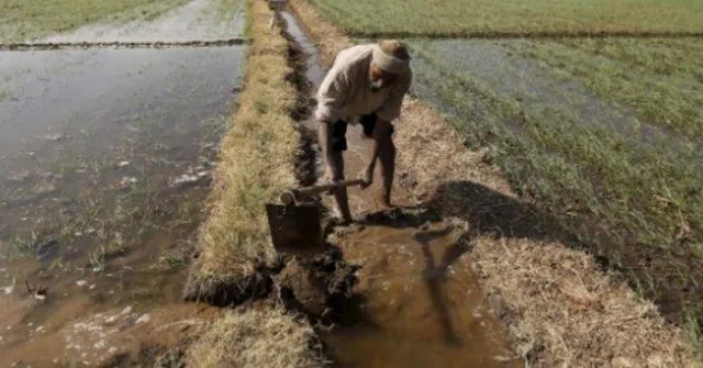ଯୋଗୀ ରାଜ୍ୟରେ ଅସହାୟ କୃଷକ : ଋଣ ଦେବାକୁ ମନା କଲା ସରକାରୀ ବ୍ୟାଙ୍କ, କିଡ଼ନୀ ବିକ୍ରି କରିବାକୁ ବାଧ୍ୟ ଚାଷୀ