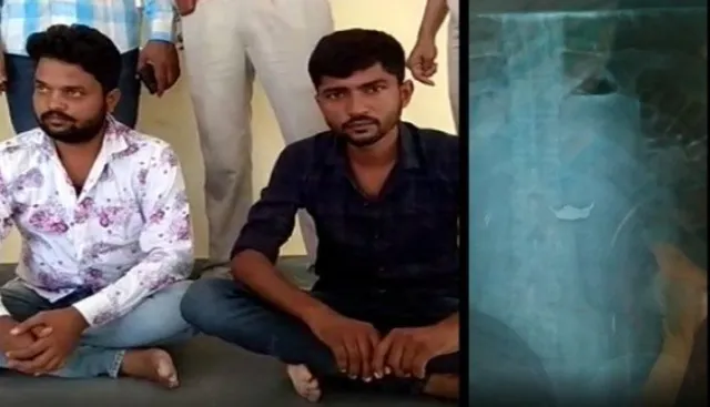 ଚେନ୍ ଲୁଟ୍ କରି ଫେରାର ହୋଇଯାଇଥିଲେ ଲୁଟେରା । ପୋଲିସ ଧରିବାରୁ ଭୟରେ ଚେନକୁ ଗିଳିଦେଲେ ।