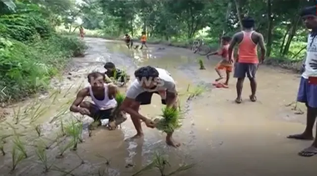 ମହାକାଳପଡାରେ ନିମ୍ନମାନର ରାସ୍ତା କାମକୁ ନେଇ ଲୋକଙ୍କ ଅଭିନବ ପ୍ରତିବାଦ :  ରାସ୍ତାରେ ଧାନ ଲଗାଇବା ସହ ଟାୟାର ଜାଳି ରାସ୍ତା ଅବରୋଧ କଲେ ଉତ୍ୟକ୍ତ ଲୋକ