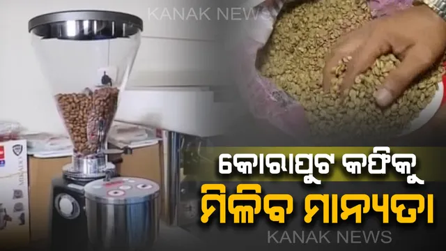 କୋରାପୁଟ କଫିକୁ ମିଳିବ ସ୍ୱତନ୍ତ୍ର ମାନ୍ୟତା : ଖୋଲିବ ରାଜ୍ୟର ପ୍ରଥମ ପ୍ରକ୍ରିୟାକରଣ କେନ୍ଦ୍ର, ଜିଲ୍ଲାର ୭ହଜାର ଏକର ଜମିରେ କରାଯାଉଛି ଚାଷ      