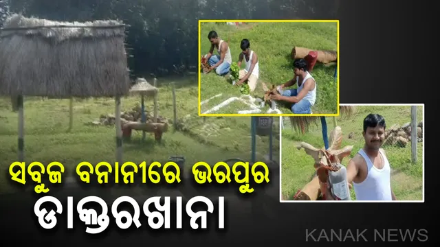 ବର୍ଜ୍ୟବସ୍ତୁରେ ତିଆରି ସୁନ୍ଦର ଉଦ୍ୟାନ, ସବୁଜ ବନାନୀରେ ଭରପୁର ସରକାରୀ ଡାକ୍ତରଖାନା : ଫାର୍ମାସିଷ୍ଟଙ୍କ ଉଦ୍ୟମରେ ମନୋରମ ହୋଇପାରିଛି କନ୍ଧମାଳର ସୁଡ଼୍ରା ପ୍ରାଥମିକ ସ୍ୱାସ୍ଥ୍ୟକେନ୍ଦ୍ର