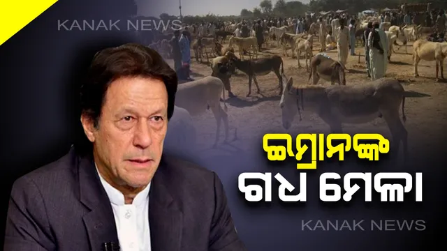 ଗଧ ଭରସାରେ ପାକିସ୍ତାନ : ଅର୍ଥ ବ୍ୟବସ୍ଥାକୁ ସୁଧାରିବା ପାଇଁ ଗଧ ମେଳା ଆୟୋଜନ କଲେ ଇମ୍ରାନ ସରକାର  