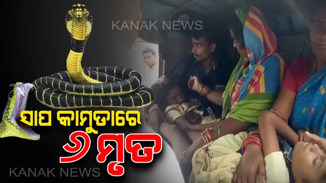 ଗୋଟିଏ ଦିନରେ ସର୍ପାଘାତରେ ୬ ମୃତ: ଅନୁଗୁଳରେ ସାପ କାମୁଡାରେ ଚାଲିଗଲା ଯାଆଁଳ ଭଉଣୀଙ୍କ ଜୀବନ