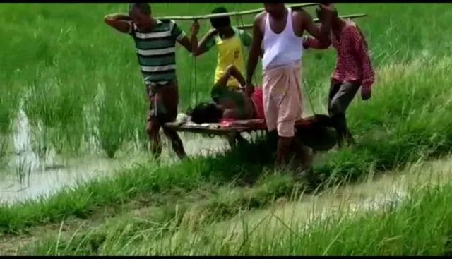 ବିକାଶର ନଗ୍ନ ଚିତ୍ର : ଗାଁକୁ ରାସ୍ତା ନାହିଁ, ଆସି ପାରୁନି ଅଟୋ ଓ ଆମ୍ବୁଲାନ୍ସ, ପୁଣି ଭାରରେ ବୁହାହେଲେ ପ୍ରସୂତି 