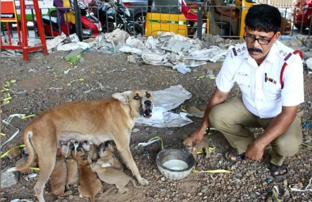 ମନ ଜିଣିନେଲେ ଟ୍ରାଫିକ୍ ପୋଲିସ । ଦୀର୍ଘ ଦୁଇ ବର୍ଷ ହେଲା ବୁଲା କୁକରଙ୍କ ଯତ୍ନ ନେଉଛନ୍ତି, ପ୍ରତିଦିନ ଖାଇବାକୁ ଦେଉଛନ୍ତି ।