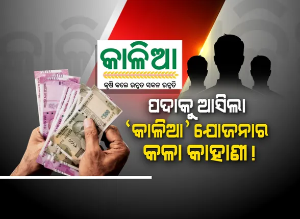 ‘କାଳିଆ’ ଯୋଜନାର କଳା କାହାଣୀ । ୫୧ ଲକ୍ଷରୁ ୩ଲକ୍ଷ ୪୧ ହଜାର ଅଯୋଗ୍ୟ, ହିତାଧିକାରୀଙ୍କ ତାଲିକାରେ ସରକାରୀ ଚାକିରିଆ ଓ ନାବାଳକ ।