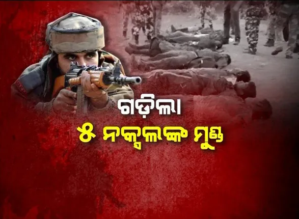 ମାଲକାନଗିରି ସୀମାରେ ଟଳିଲେ ୫ ନକ୍ସଲ । କମ୍ବିଂ ଅପରେସନ ବେଳେ ଆନ୍ଧ୍ର ଗ୍ରେହାଉଣ୍ଡ ଗୁଳିରେ ନିପାତ ହେଲେ ନକ୍ସଲ ।