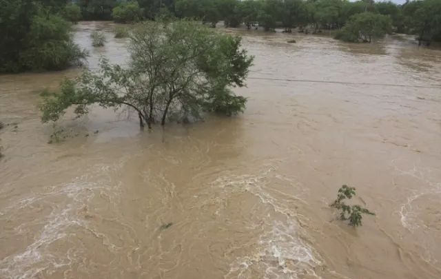 ଲଗାଣ ବର୍ଷା ଯୋଗୁଁ ଚାଷଜମିରେ ପାଣି ମାଡ଼ି ଫସଲ ନଷ୍ଟ : ଚାଷୀ ମୁଣ୍ତରେ ଚଡ଼କ