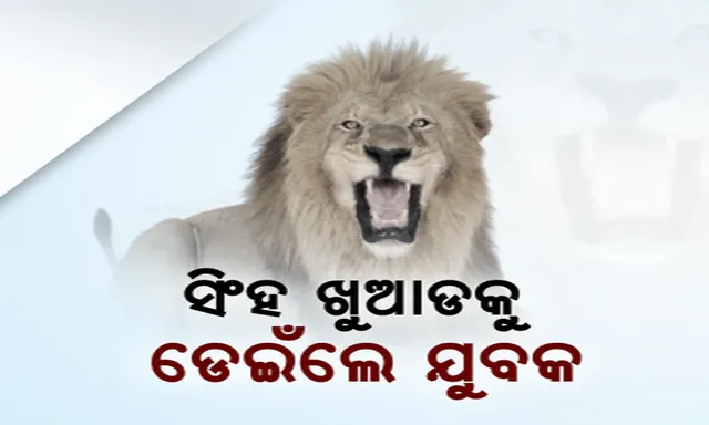 ଦିଲ୍ଲୀ ଚିଡିଆଖାନାରୁ ଆସିଲା ଲୋମଟାଙ୍କୁରା ଚିତ୍ର : ସିଂହ ଖୁଆଡକୁ ଡେଇଁଲେ ମାନସିକ ଭାରସାମ୍ୟ ହରାଇଥିବା ଯୁବକ, ସିଂହକୁ ବେହୋସ କରି ଯୁବକଙ୍କୁ ଉଦ୍ଧାର କଲେ ଚିଡିଆଖାନା କର୍ତ୍ତୃପକ୍ଷ