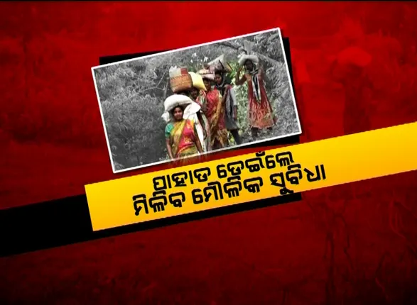 ପାହାଡ ଡେଇଁଲେ ପେଟ ପୂରିବ । ୩ଟି ପାହାଡ, ୨ଟି ନାଳ ପାରିହେଲେ ମିଳୁଛି ଡାଲି, ଚାଉଳ ଓ ଭତ୍ତା । ଜୀବନ ଜୀବିକା ପାଇଁ ସଂଘର୍ଷ କରୁଛନ୍ତି ୪୨ ଆଦିବାସୀ ପରିବାର