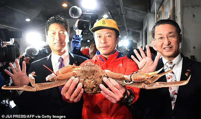 ମାଲାମାଲ କଲା କଙ୍କଡା । ଗୋଟିଏ କଙ୍କଡାକୁ ୩୩ଲକ୍ଷ ଟଙ୍କାରେ ବିକ୍ରି କଲେ ଜେଣେ ମତ୍ସ୍ୟଜୀବି 