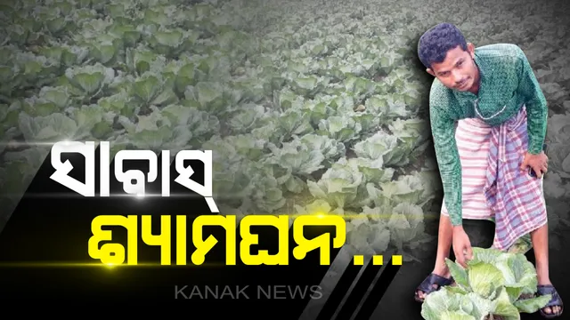 ଗାଁ ପାଇଁ ଗୌରବ ଶ୍ୟାମଘନ...ଉଚ୍ଚ ଶିକ୍ଷିତ ହୋଇବି ଚାକିରି ବଦଳରେ କରୁଛନ୍ତି ଚାଷ...ଜୈବିକ ପଦ୍ଧତିରେ ଫସଲ ଫଳାଇ ନିଜେ ସ୍ୱାବଲମ୍ବୀ ହେବା ସହ ଅନେକଙ୍କୁ ଦେଉଛନ୍ତି ରୋଜଗାର