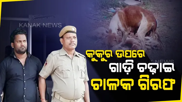 କୁକୁର ଉପରେ ଗାଡ଼ି ଚଢ଼ାଇ ଫସିଗଲେ ଓଲା ଡ୍ରାଇଭର : ଗିରଫ କଲା ପୋଲିସ୍