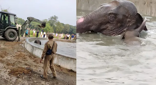 ପାଣି ପିଇବାକୁ ଆସି ଟାଙ୍କିରେ ଖସିପଡିଲେ ମା’ ଓ ଛୁଆ ହାତୀ । କିଛି ଏଭଳି ଭାବେ ଜୀବନ ବଞ୍ଚାଇଲେ ସେନା ଓ ବନ ବିଭାଗ କର୍ମଚାରୀ ।