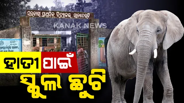 ହାତୀ ପାଇଁ ସ୍କୁଲ ଛୁଟି ! ୨୨ ହାତୀପଲଙ୍କ ଆତଙ୍କ ଯୋଗୁଁ କରଞ୍ଜିଆର ସାନଦେଉଳି ପ୍ରାଥମିକ ସ୍କୁଲ ବନ୍ଦ