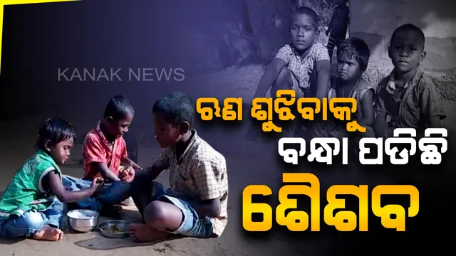 ଧାର ଟଙ୍କା ଶୁଝିବା ପାଇଁ ବନ୍ଧା ପଡିଛି ଶୈଶବ...ଛେଳି ଚରାଇ ଋଣ ପରିଶୋଧ କରିବା ସହ ଦୁଇ ସାନ ଭାଇଭଉଣୀଙ୍କ ମୁହଁରେ ଦାନା ଦେଉଛି କୁନି ଅଶୋକ