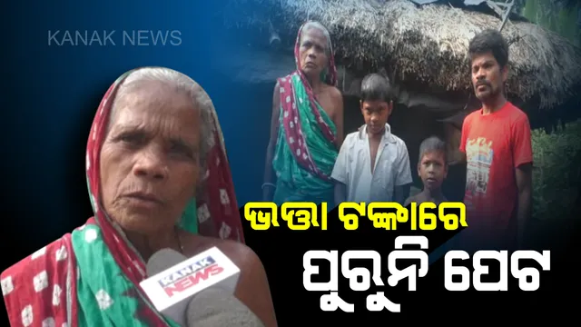 ମା’ ଛାଡ଼ି ଚାଲିଗଲା, ବାପା ମାନସିକ ବିକାରଗ୍ରସ୍ତ : ମାଗିଯାଚି ୨ ନାତିଙ୍କ ମୁହଁରେ ଦାନା ଦେଉଛି ବୁଢ଼ୀ ଜେଜେମା’