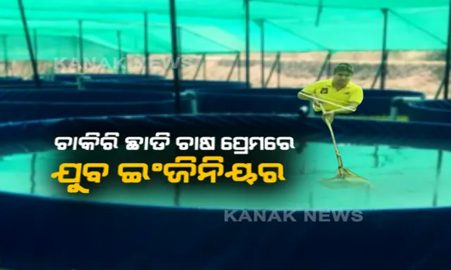 ଚାକିରି ଛାଡି ଚାଷ ପ୍ରେମରେ ଯୁବ ଇଂଜିନିୟର । ପୋଖରୀ ନୁହେଁ ପାଣି କୁଣ୍ଡରେ ମାଛ ଚାଷ । ଅନ୍ୟଙ୍କୁ ରୋଜଗାର ଦେଉଛନ୍ତି, ଲକ୍ଷ ଲକ୍ଷ ଟଙ୍କା ଲାଭ ବି କରୁଛନ୍ତି ।