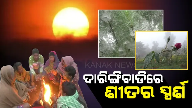 ଧିରେ ଧିରେ ବଢୁଛି ଶୀତର ପ୍ରକୋପ ! ୧୦ ଡିଗ୍ରୀ ତଳକୁ ଖସିଲା ଦାରିଙ୍ଗବାଡିର ତାପମାତ୍ର