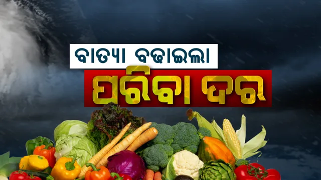 ପିଆଜ ଲୁହରେ ଭିଜିବ ପକେଟ ! ଆମଦାନୀ କମୁଥିବାରୁ ୬ରୁ ୧୦ ଟଙ୍କା ବଢିବ ଦର । ଗ୍ରାହକଙ୍କ ମୁଣ୍ଡ ବିନ୍ଧା କଲା ମନ୍ତ୍ରୀଙ୍କ ବୟାନ