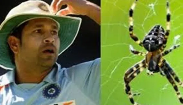 ବୈଜ୍ଞାନିକଙ୍କ ଭଲ ପାଇବା । ନୂଆ ପ୍ରଜାତି ବୁଢିଆଣୀର ନାଁ ରଖିଲେ ସଚିନ୍ ତେନ୍ଦୁଲକର ।