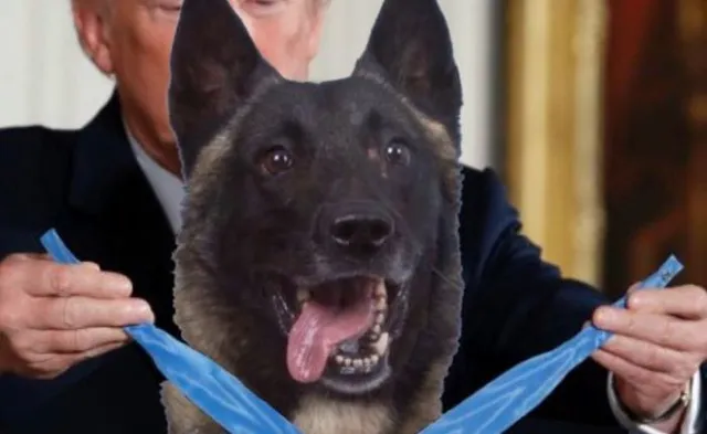 ଟ୍ରମ୍ପ ଛାଡିଥିବା କୁକୁରର ଫଟୋକୁ ନେଇ ଆସିଲା ସାଂଘାତିକ ତଥ୍ୟ । ଫଟୋରେ ଥିବା କୁକୁର ପାଇଁ ଯାଇନଥିଲା ବିଶ୍ୱର ନମ୍ବର ୱାନ୍ ଆତଙ୍କବାଦୀ ବାଗଦାଦିର ଜୀବନ ।