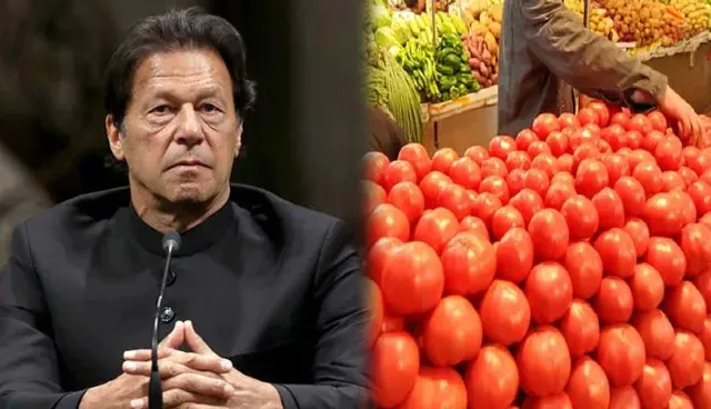 ପାକିସ୍ତାନ ପ୍ରଧାନମନ୍ତ୍ରୀଙ୍କୁ ଅଫର୍ ଦେଲେ ଭାରତୀୟ କୃଷକ । କହିଲେ , ଟମାଟ ଖାଇବାକୁ ଯଦି ଇଚ୍ଛା ପକ୍ ଦିଅ ଟମାଟ ନିଅ । 