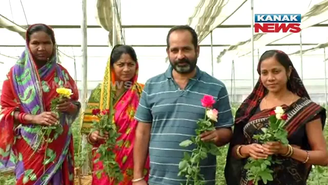 ଚାକିରି ପଛରେ ନଧାଇଁ ଗୋଲାପ ଫୁଲ ଚାଷ କରି ଅନ୍ୟମାନଙ୍କ ପାଇଁ ପ୍ରେରଣା ପାଲଟିଛନ୍ତି ସୌଭାଗ୍ୟ । ଏବେ ମାସକୁ ରୋଜଗାର କରୁଛନ୍ତି ଲକ୍ଷାଧିକ ଟଙ୍କା ।