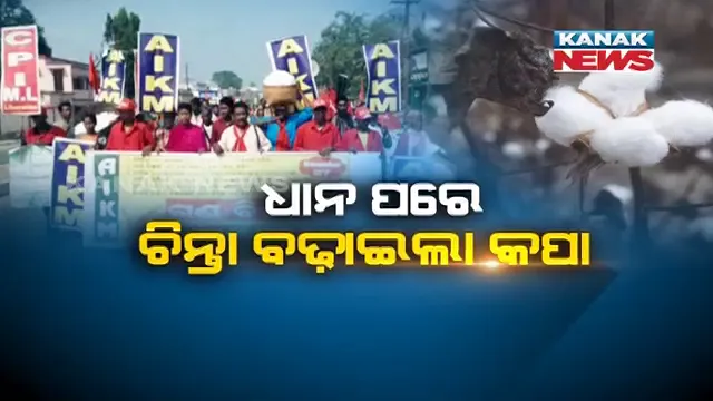 କପା ପାଇଁ ଖପ୍ପା ! ଧାନ ପରେ କପା ବିକ୍ରି ନେଇ ଅସନ୍ତୋଷ । ମୂଲ୍ୟବୃଦ୍ଧି ଦାବିରେ ରାସ୍ତାକୁ ଓହ୍ଲାଇଲେ ଚାଷୀ, ବିଧାନସଭାରେ ତାତି ।