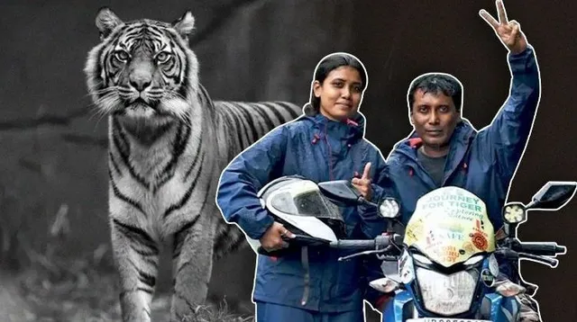 ବାଘ ପାଇଁ ‘ବାଘ ବଞ୍ଚାଅ ଅଭିଯାନ’ । ଏକ ଦମ୍ପତିଙ୍କ ନିଆରା ପ୍ରୟାସ । ଲୋକଙ୍କ ପାଖରେ ବାଘ ବଞ୍ଚାଅ ବାର୍ତ୍ତା ପହଞ୍ଚାଇବାକୁ ବୁଲୁଛନ୍ତି ରାଜ୍ୟକୁ ରାଜ୍ୟ