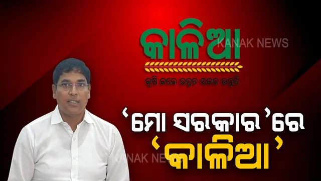 ‘ମୋ ସରକାର’ ଅଧିନରେ ଆସିବ କାଳିଆ ଯୋଜନା । କୃଷିମନ୍ତ୍ରୀଙ୍କ ସୂଚନା, ହିତାଧିକାରୀଙ୍କୁ ଫୋନ କରି ସୁବିଧା ଅସୁବିଧା ବୁଝିବେ ସରକାର