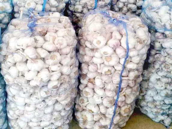 ଚୋର ଟେକିନେଲେ ରସୁଣବସ୍ତା ! ପିଆଜ ପରେ ଏବେ ଚୋରଙ୍କ ନଜରରେ ରସୁଣ , ପିକଅପ୍ ଭ୍ୟାନରୁ ୬୪ ବସ୍ତା ରସୁଣ ଗାଏବ୍ କଲେ ଚୋର ।