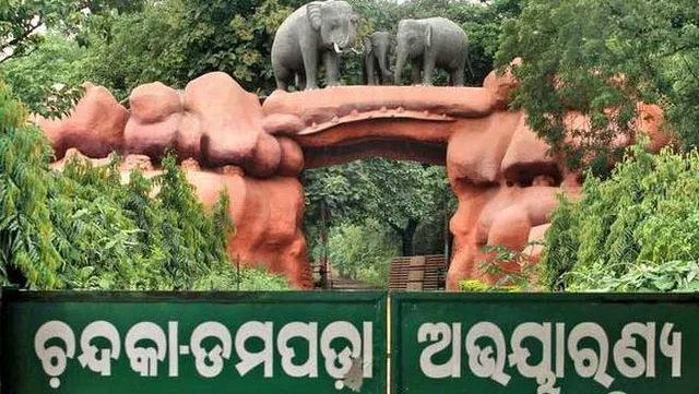 ଚନ୍ଦକା ଜଙ୍ଗଲରେ ମଦ ଓ ପ୍ଲାଷ୍ଟିକକୁ ନା । ପର୍ଯ୍ୟଟକଙ୍କ ଲାଗି ଜାରି ହେଲା ଗାଇଡଲାଇନ । ନିଆଁ ଜାଳିବା, ଜୋରରେ ଶବ୍ଦ କରିବାକୁ ବାରଣ । ବନ୍ୟଜନ୍ତୁଙ୍କଠାରୁ ୧୫ ମିଟର ଦୂରରେ ରହିବେ ପର୍ଯ୍ୟଟକ
