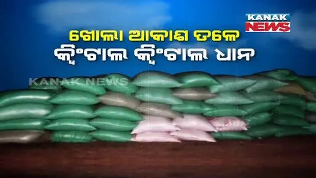 ସମ୍ଭାବ୍ୟ ବାତ୍ୟାକୁ ନେଇ ଆତଙ୍କରେ ଯାଜପୁର ଚାଷୀ: ଅମଳ ହୋଇ ଖଳାରେ ପଡିରହିଛି କ୍ୱିଂଟାଲ କ୍ୱିଂଟାଲ ଧାନ; ହୋଇପାରିନି ଧାନ ସଂଗ୍ରହ