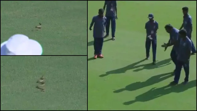 ବର୍ଷା ନୁହେଁ ସାପ ଅଟକାଇଲା କ୍ରିକେଟ ମ୍ୟାଚ୍ । ପଡିଆରେ ଦୀର୍ଘ ସମୟ ଧରି ବୁଲିଲା ସାପ, ବିଳମ୍ବରେ ଆରମ୍ଭ ହେଲା ବିଦର୍ଭ-ଆନ୍ଧ୍ର ମ୍ୟାଚ୍  । ଭାଇରାଲ ହେଲା ଭିଡିଓ ।