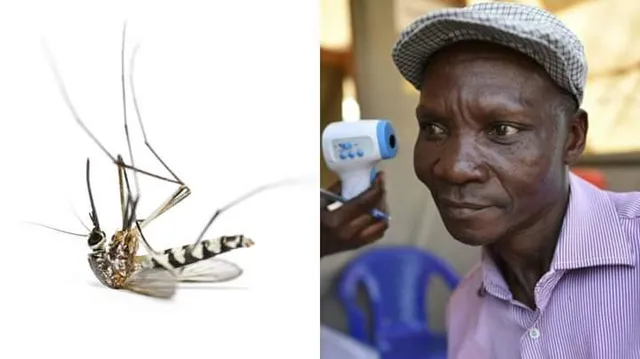 ପୃଥିବୀର ଏମିତି ଜଣେ ମଣିଷ ଯାହାଙ୍କ ଶରୀରର ଗନ୍ଧରେ ମରିଯାନ୍ତି ମଶା, ଜାଣିଲେ ଆପଣ ବି ହୋଇଯିବେ ଆଶ୍ଚର୍ଯ୍ୟ